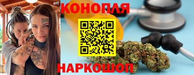стафф Будённовск