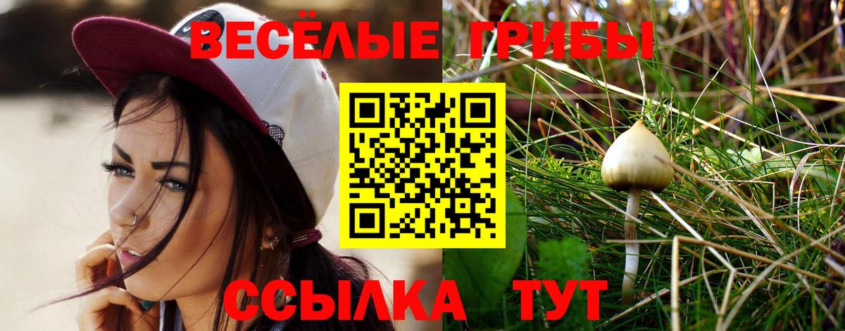 Ярцево  Галлюциногенные грибы мухоморы  дарнет шоп  Вход с VPN 